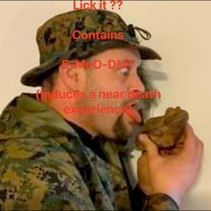 Meet your Posher, Guy